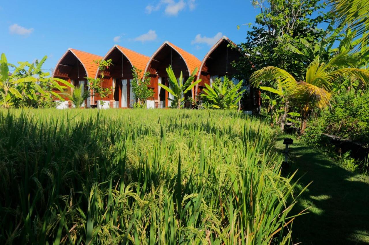 Keramas Surf Camp Hotel Екстериор снимка