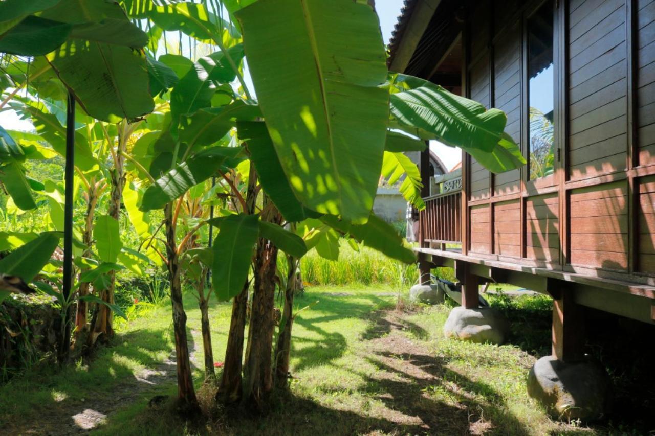 Keramas Surf Camp Hotel Екстериор снимка